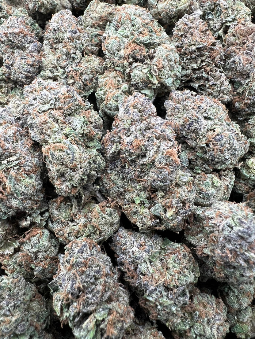 APRICOT RUNTZ