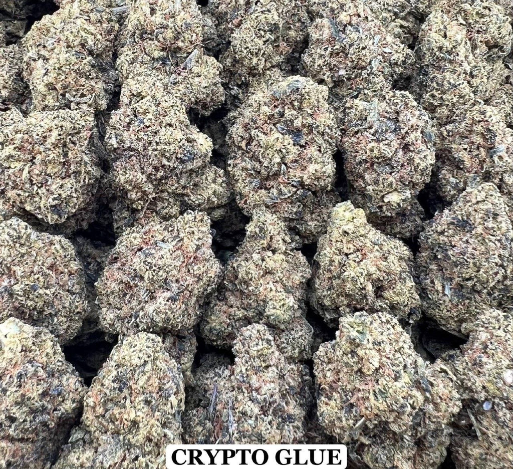 CRYPTO GLUE