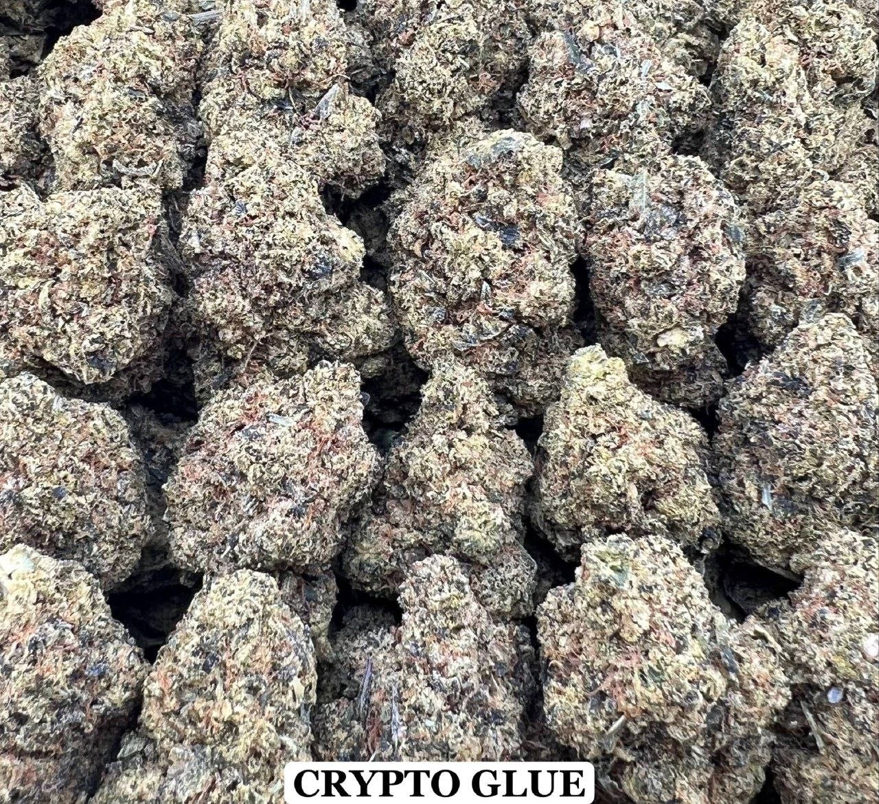 CRYPTO GLUE