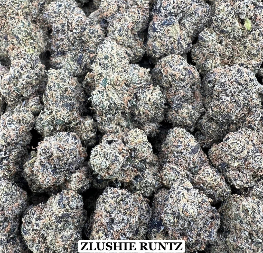 ZLUSHIE RUNTZ