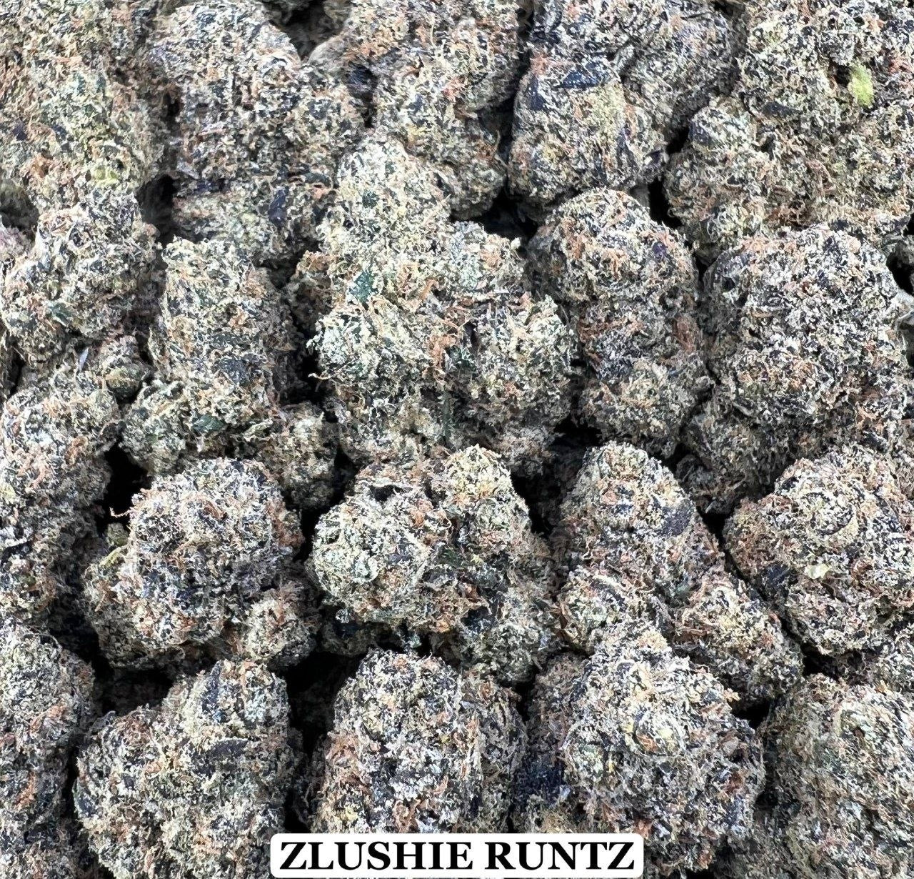 ZLUSHIE RUNTZ