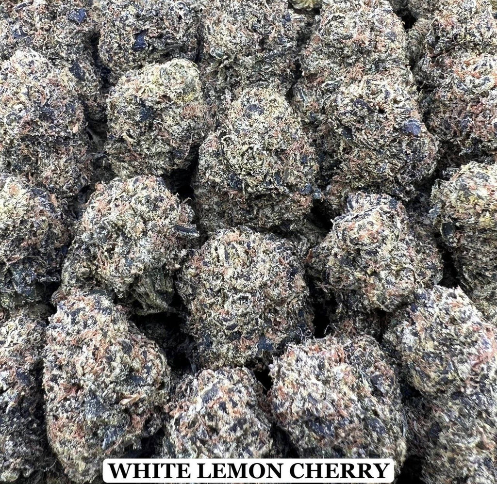 WHITE LEMON CHERRY