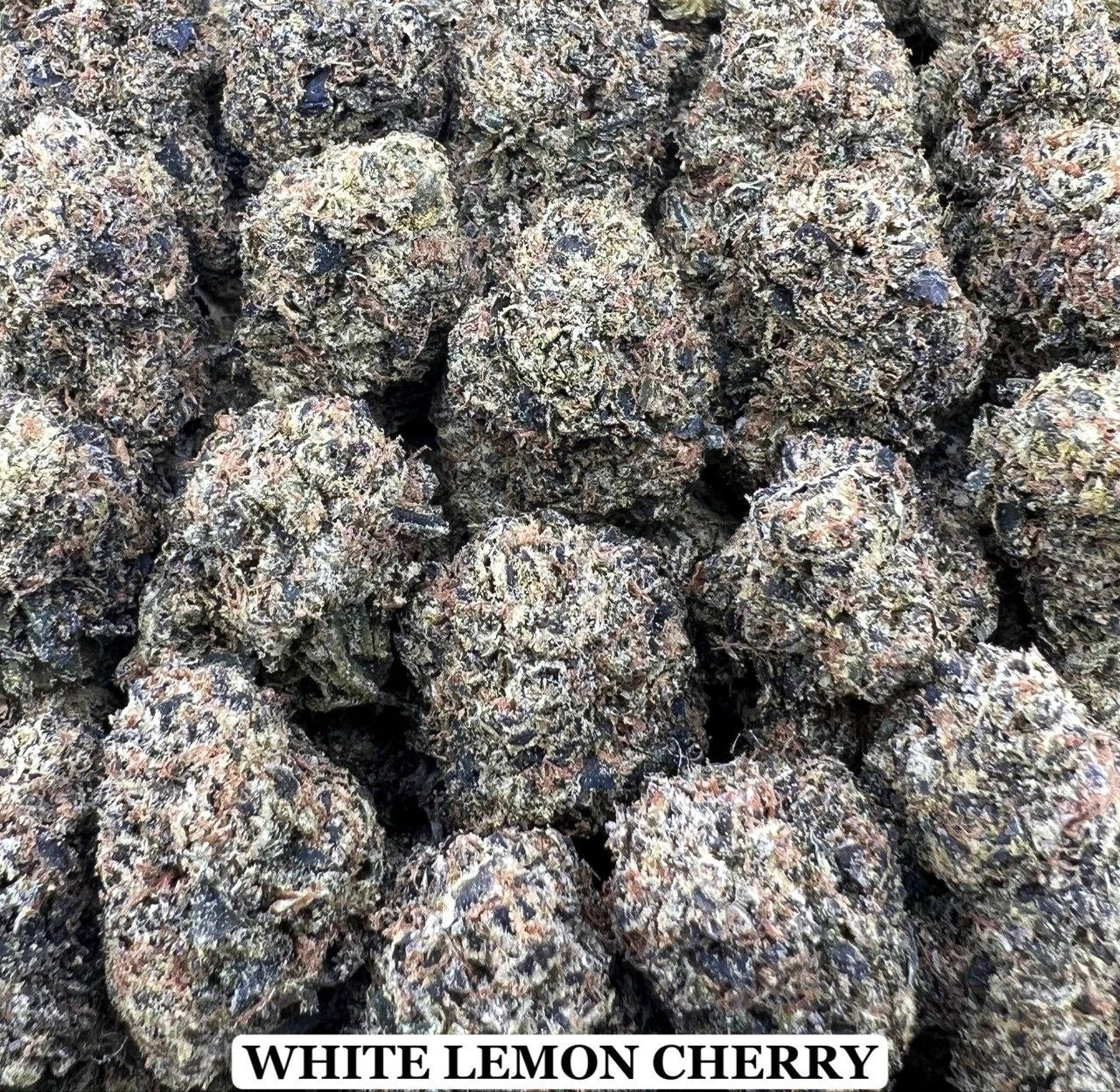 WHITE LEMON CHERRY