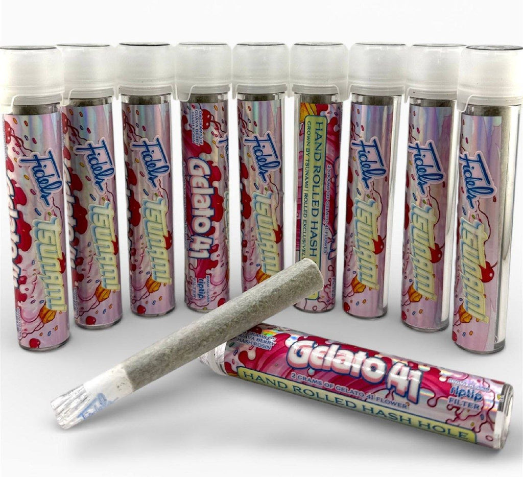 TSUNAMI X FIDELS HASH HOLES