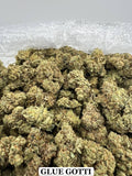 GLUE GOTTI
