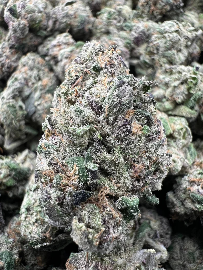 CANDY COLADA