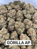 GORILLA AP