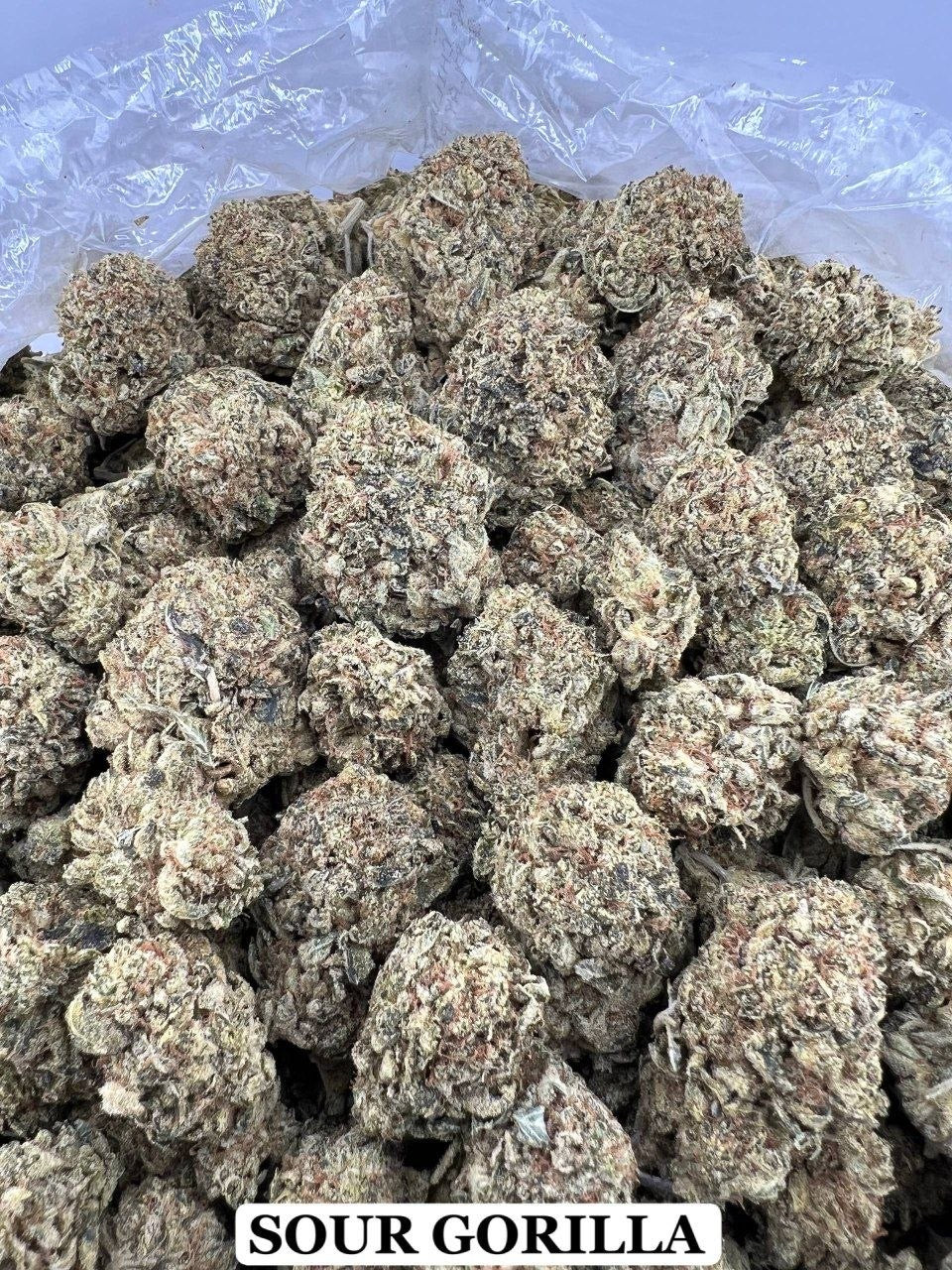 SOUR GORILLA