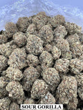 SOUR GORILLA