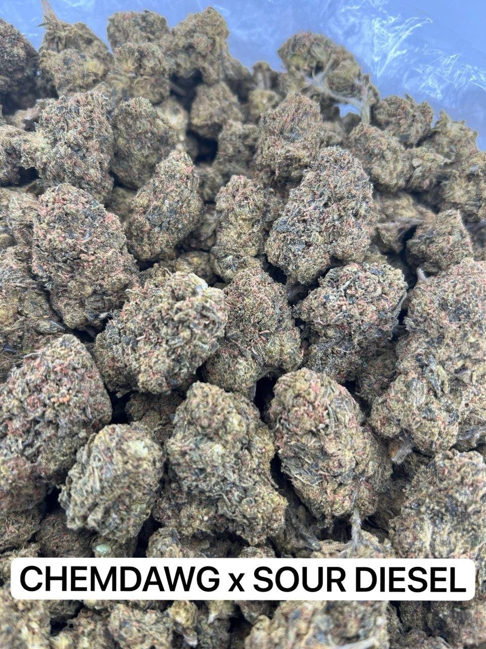 CHEMDAWG X SOUR DIESEL