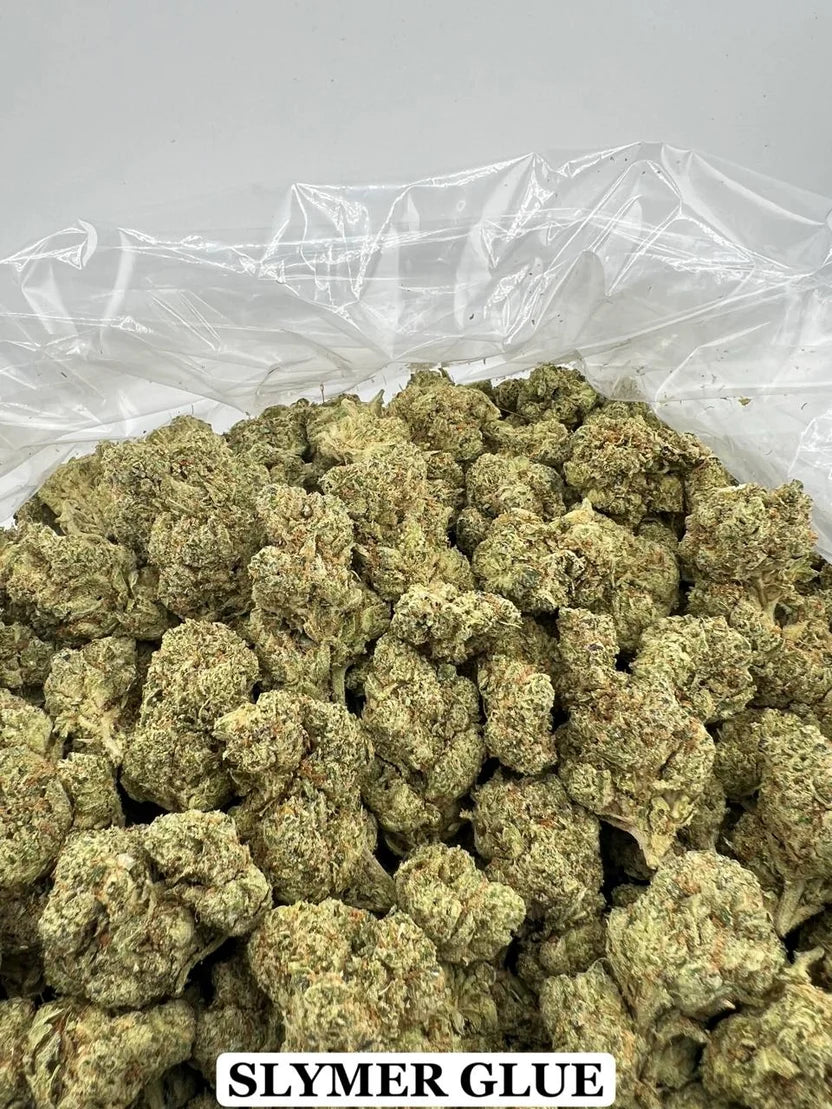 SLYMER GLUE