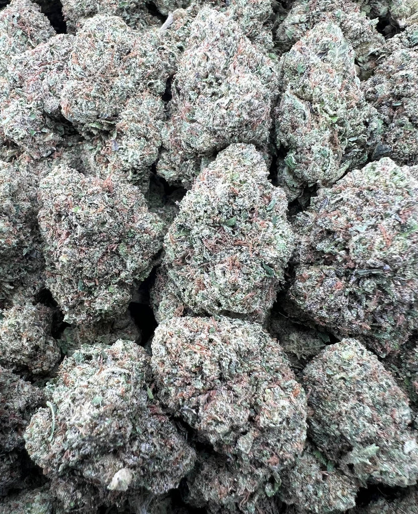 GOBSTOPPER