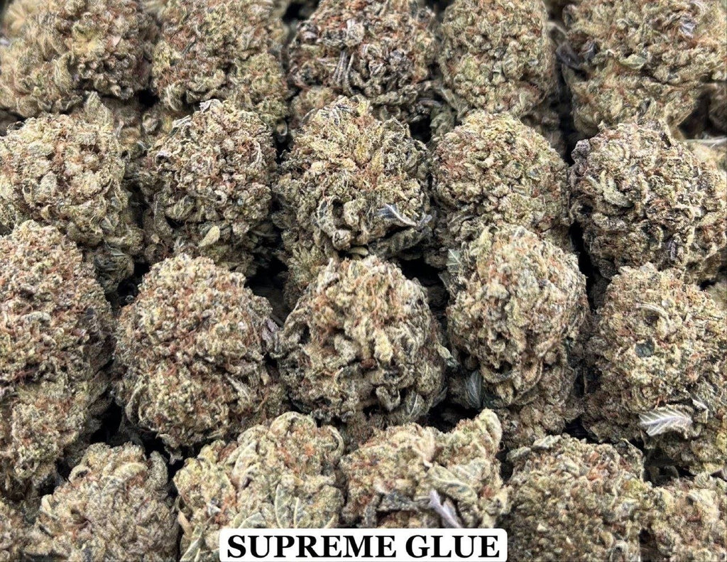 SUPREME GLUE