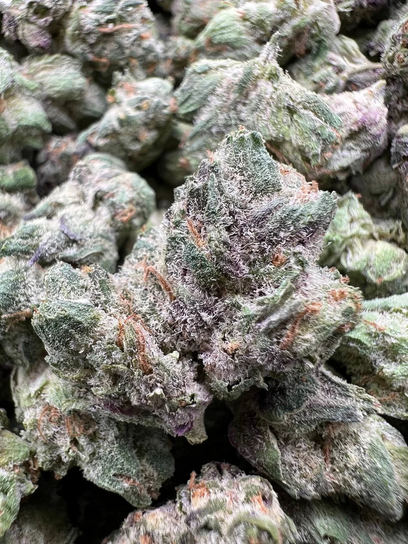 APPLE FRITTER