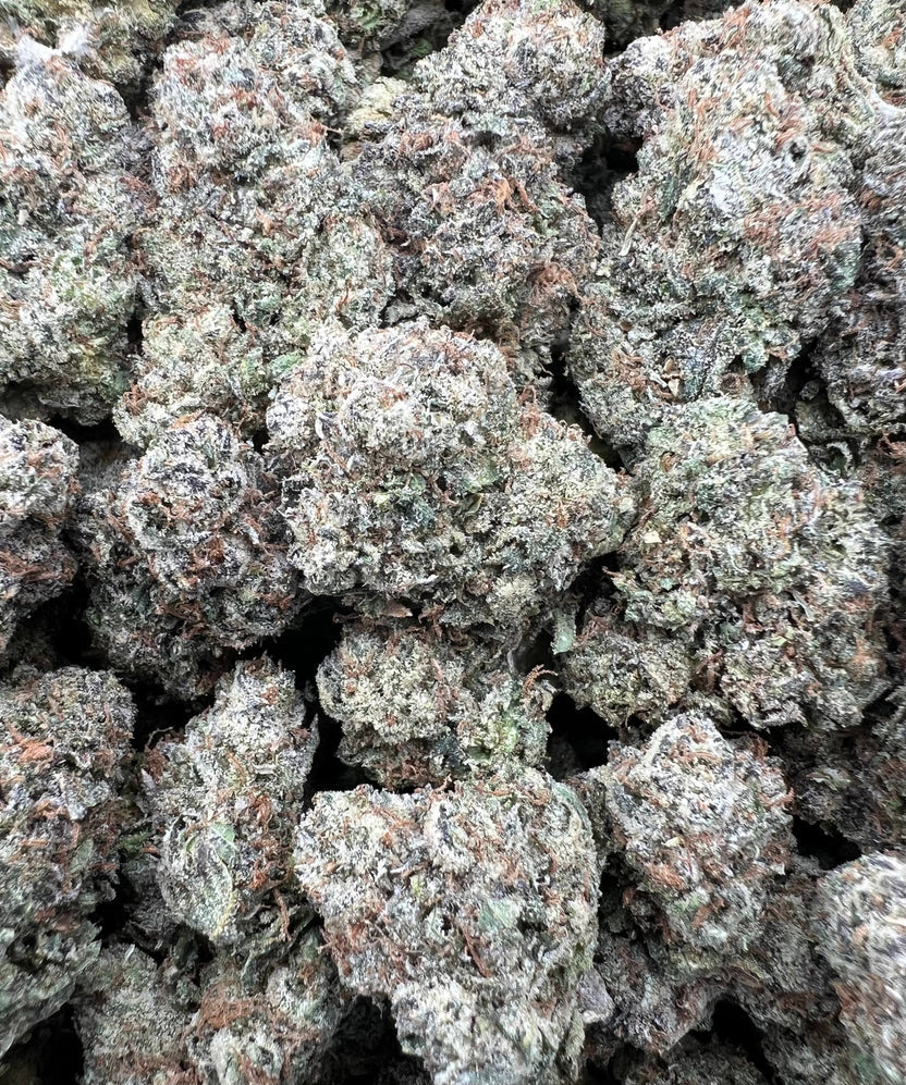 CANDY MEDIUM