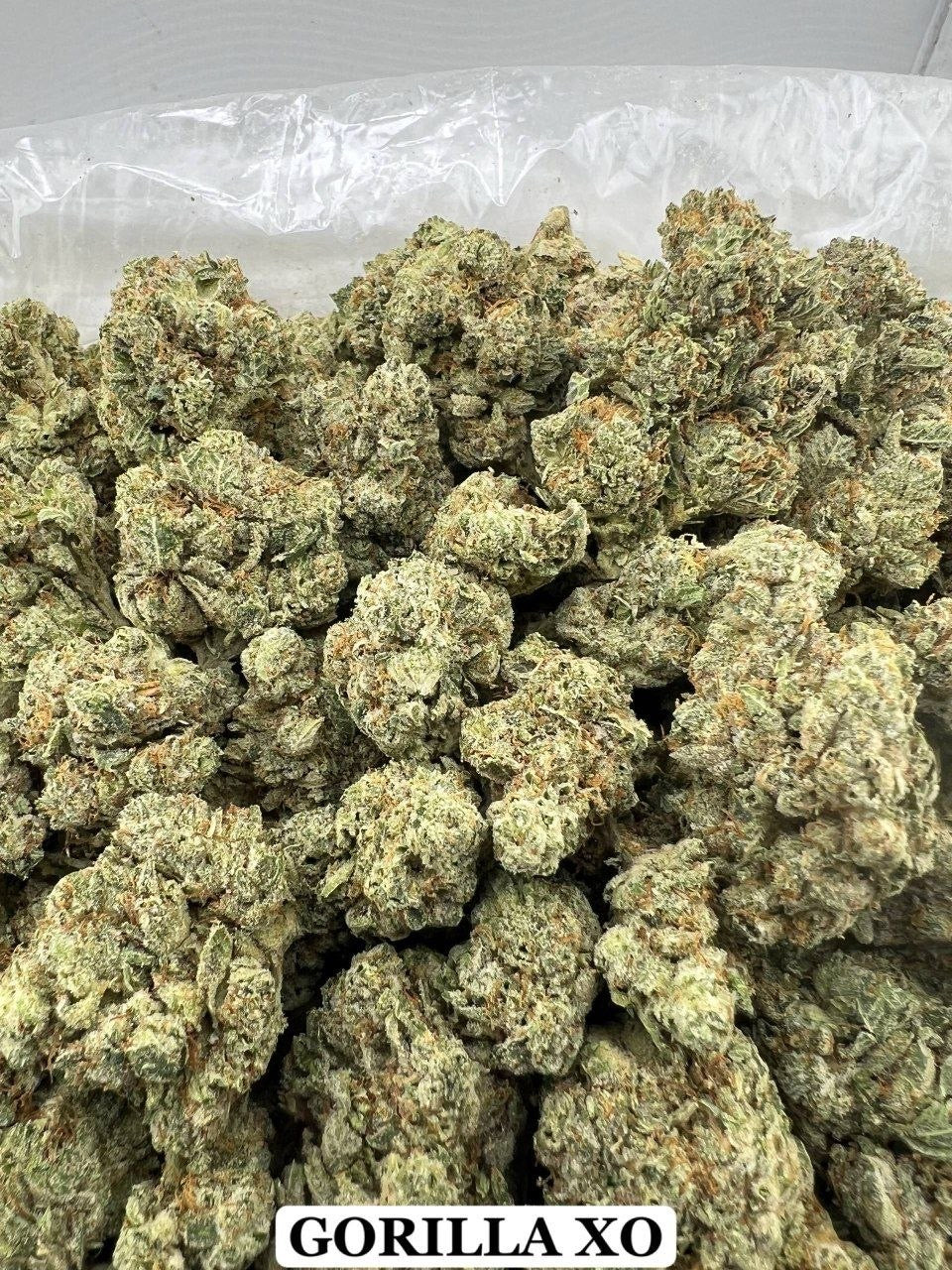 GORILLA XO