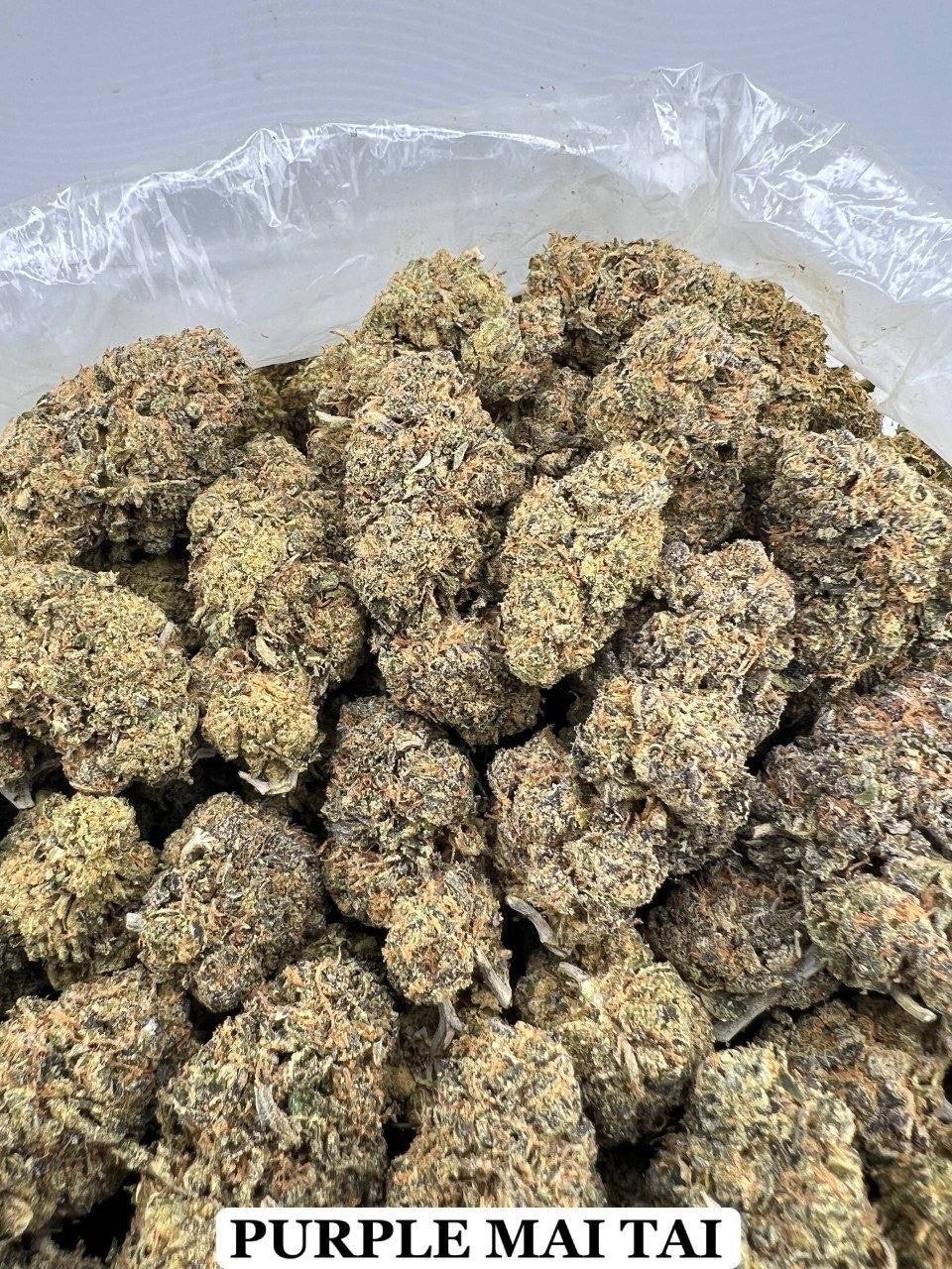 GORILLA MADNESS