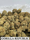 GORILLA REPUBLIC