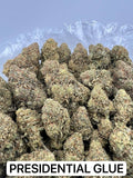 PRESIDENTIAL GLUE