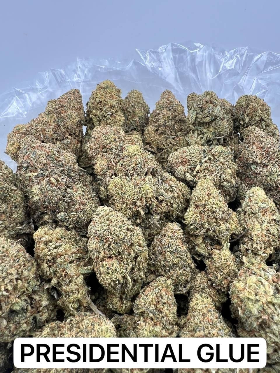 PRESIDENTIAL GLUE