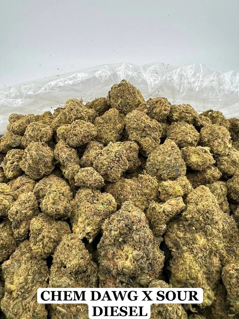 CHEM DAWG x SOUR DIESEL