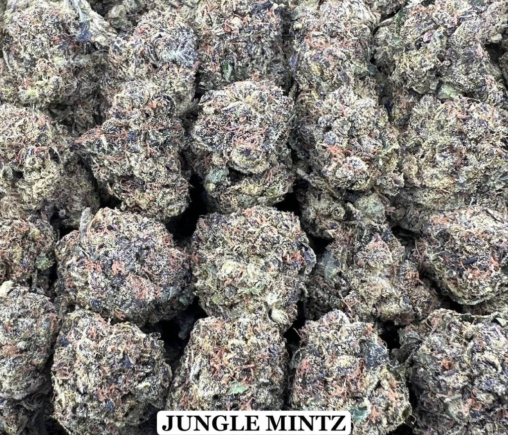 JUNGLE MINTZ