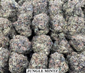 JUNGLE MINTZ
