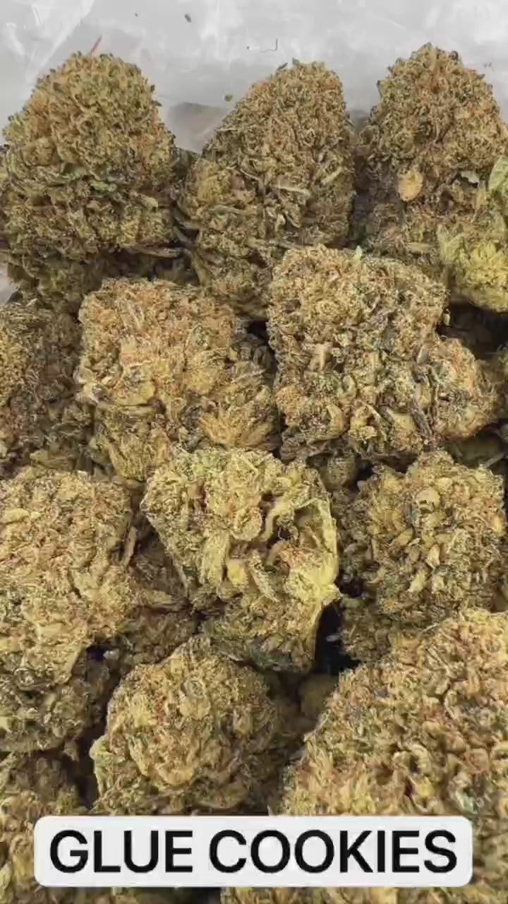 GLUE COOKIES