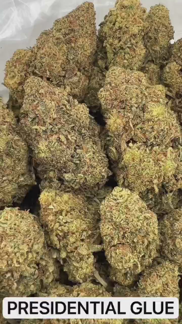 PRESIDENTIAL GLUE