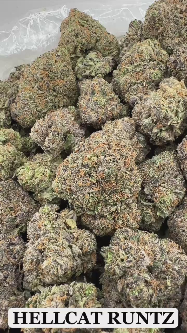 CHERRY GUSHERZ