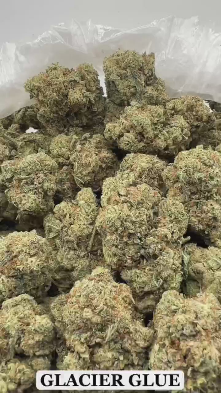 GLACIER GLUE