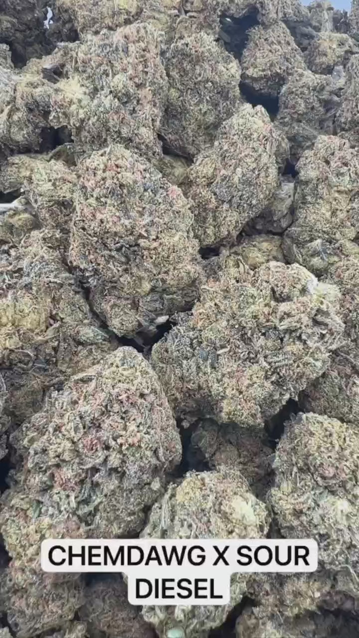 CHEMDAWG X SOUR DIESEL