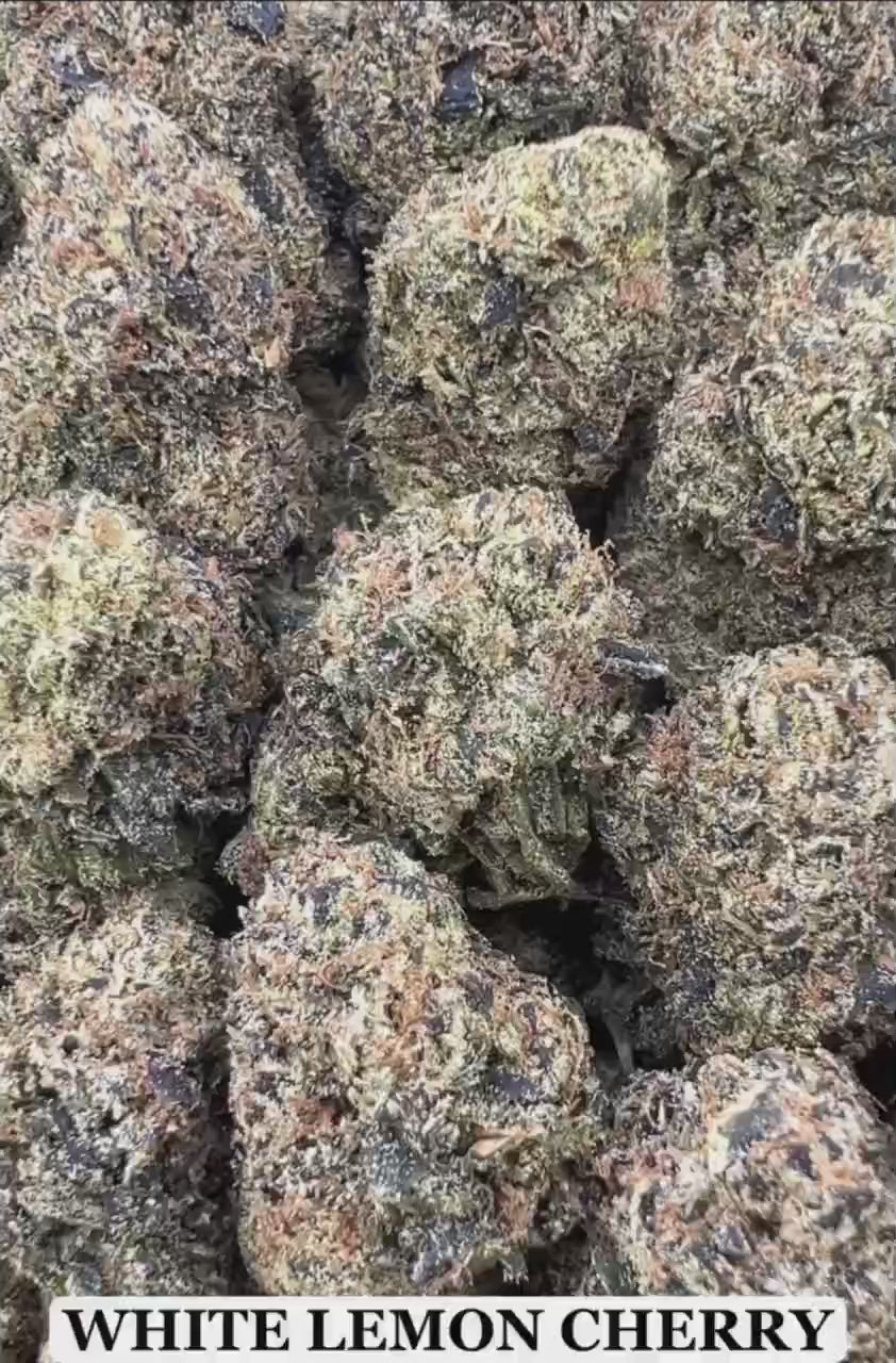 WHITE LEMON CHERRY