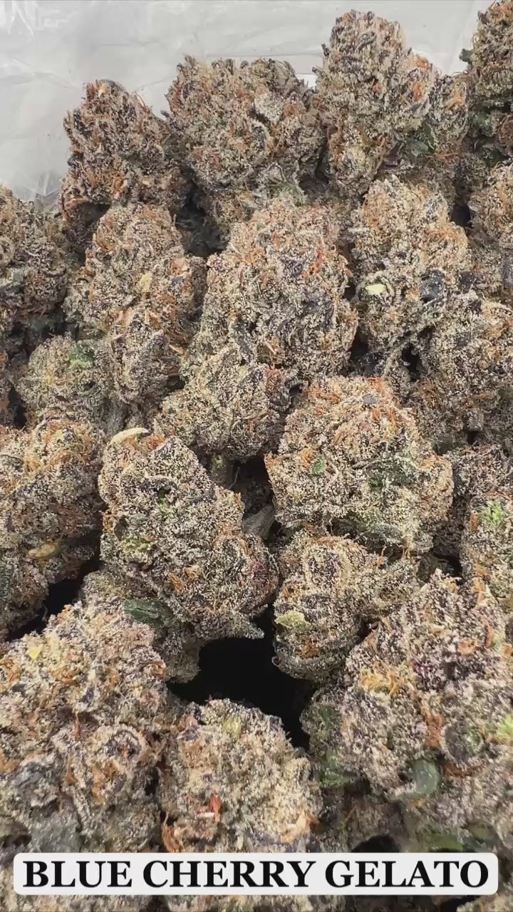 BLUE CHERRY GELATO