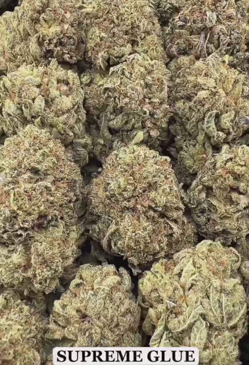 SUPREME GLUE