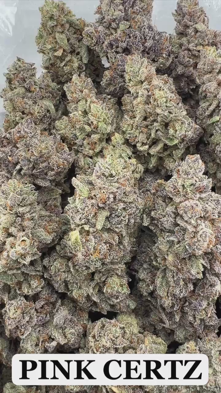 PINK CERTZ