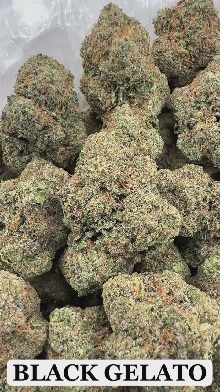 BLACK GELATO