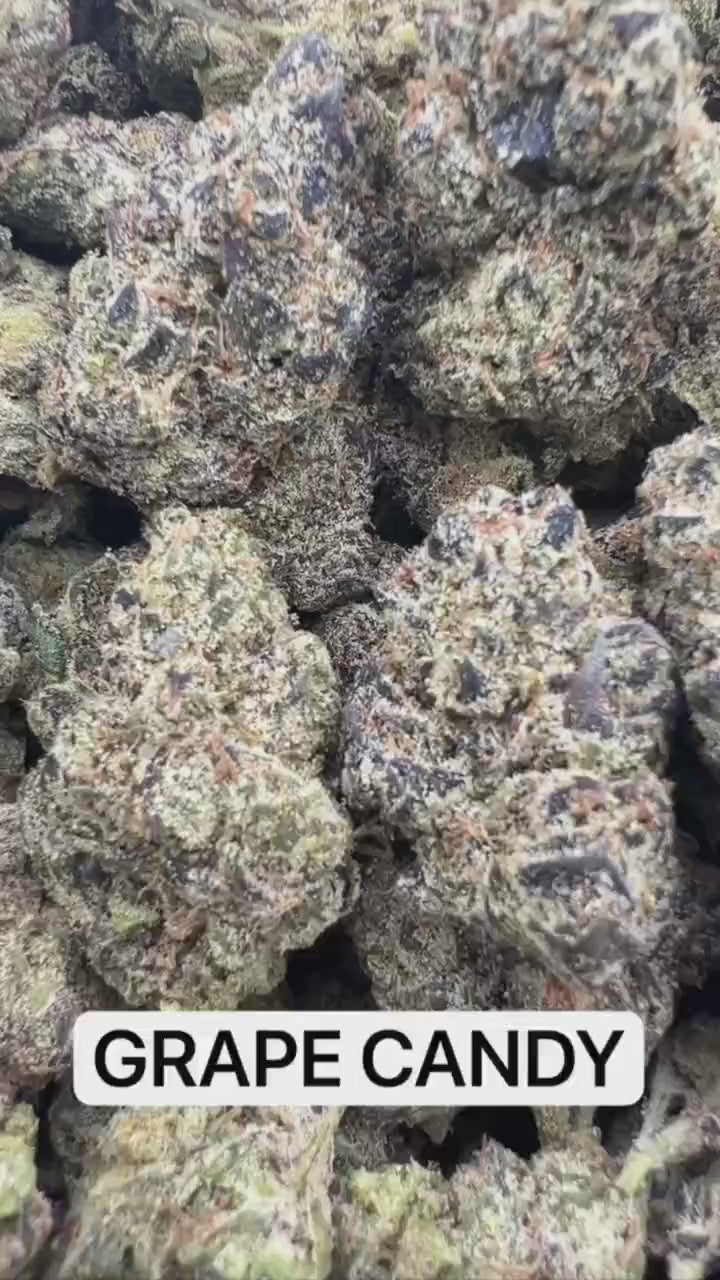 GORILLA REPUBLIC