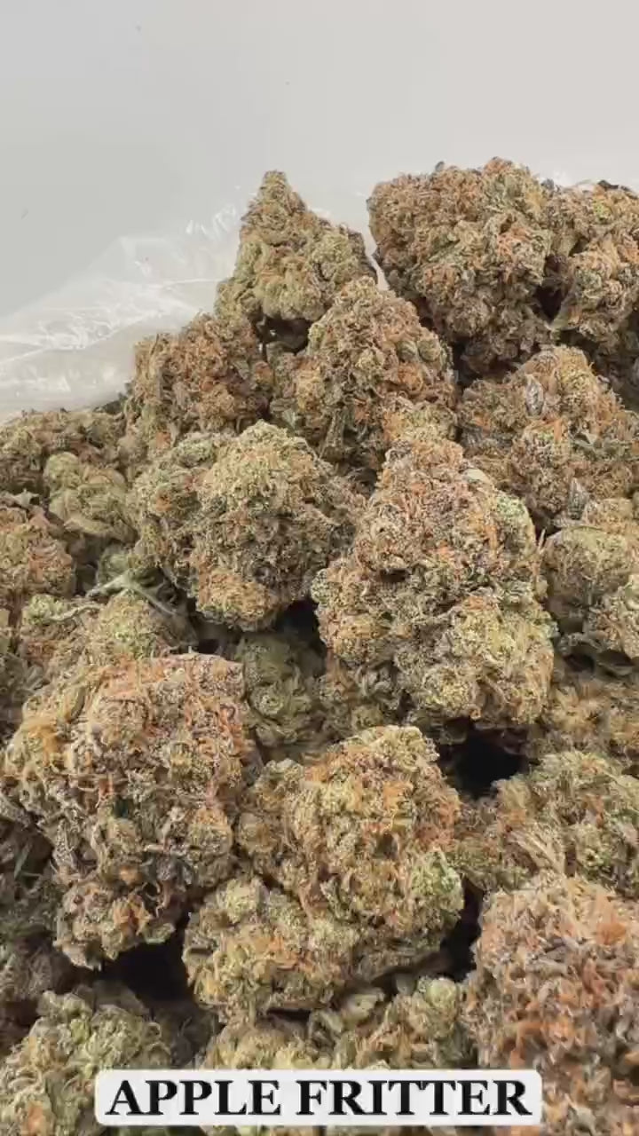 APPLE FRITTER