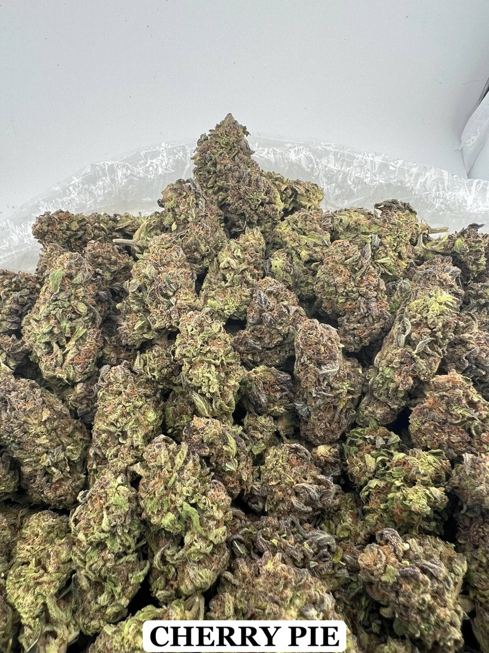 PINK CERTZ