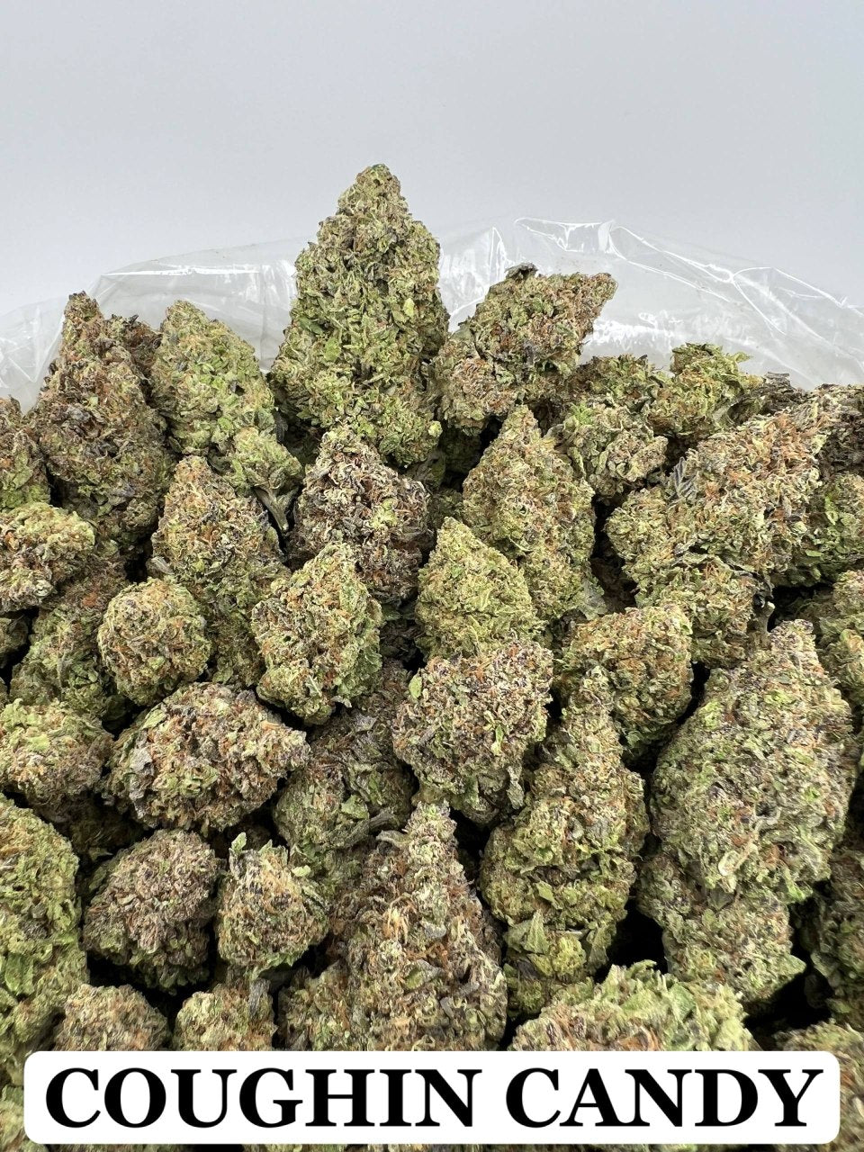 CHERRY GUSHERZ