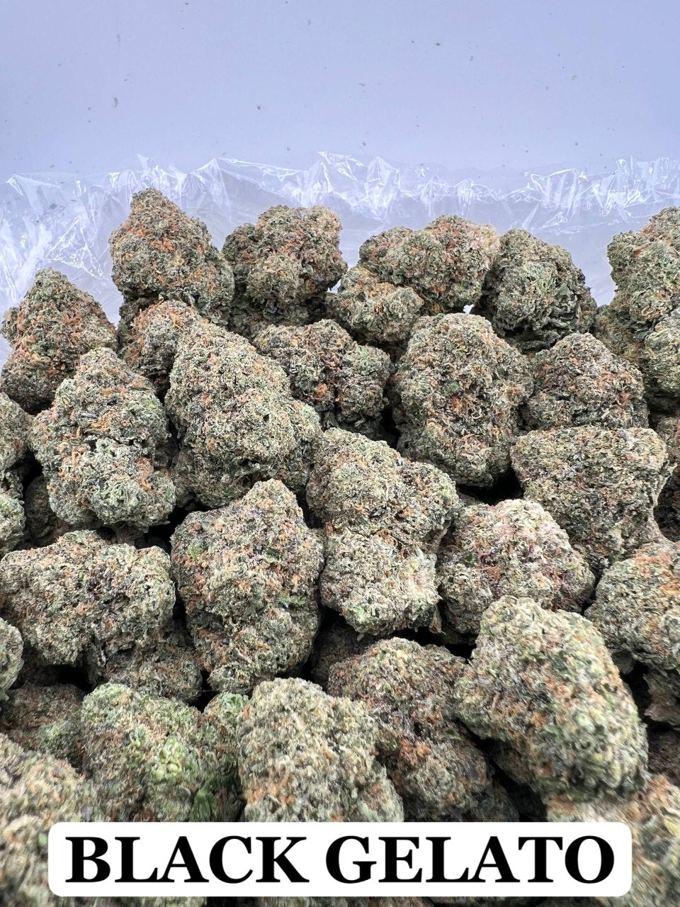 BLACK GELATO
