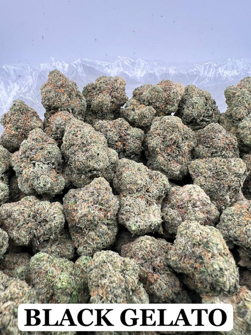 BLACK GELATO
