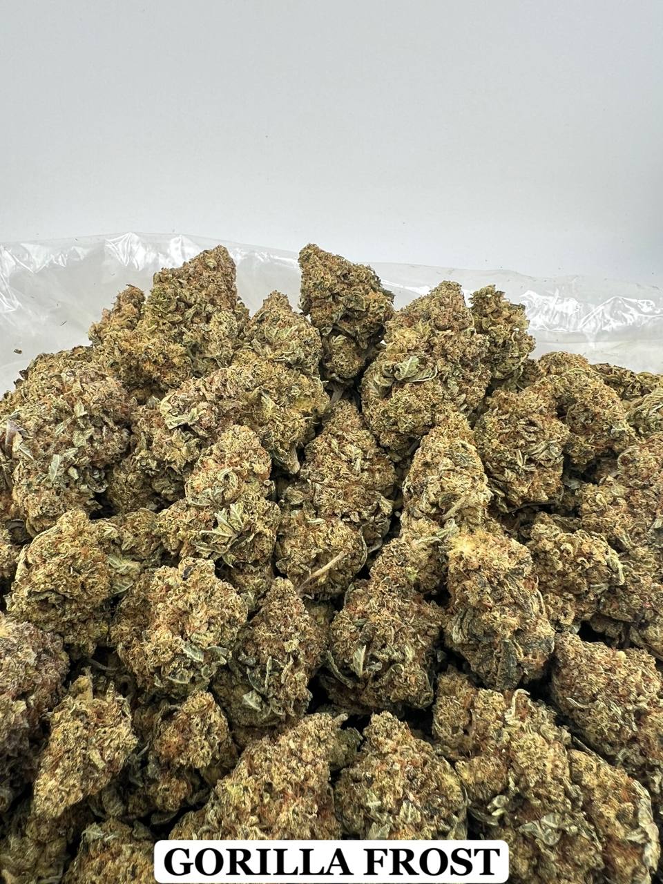 GORILLA FROST